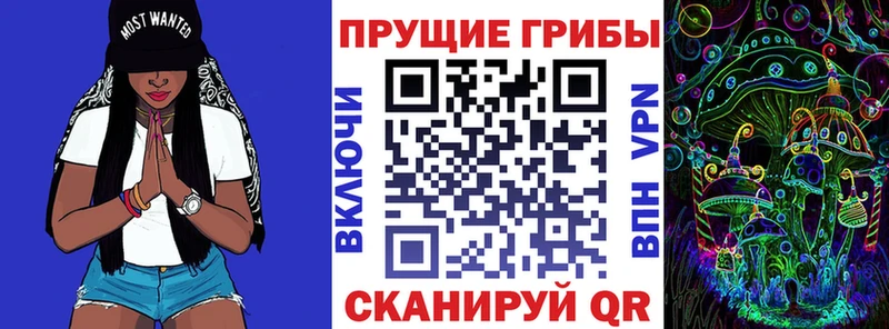 магазин продажи Ардон Псилоцибиновые грибы Magic Shrooms